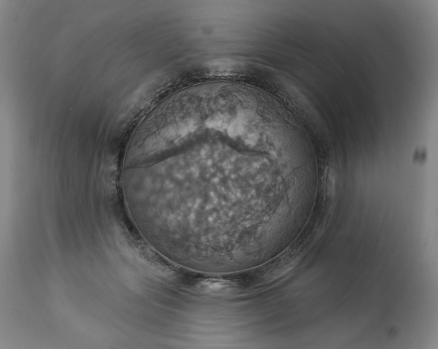 X0000113230557200909241525