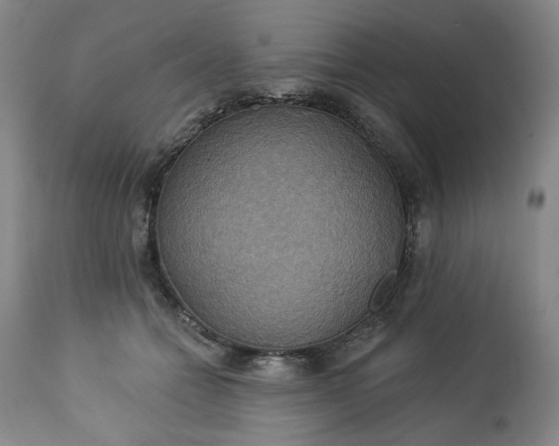 X0000113230558200909241525