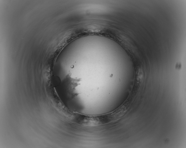 X0000113230559200909241525