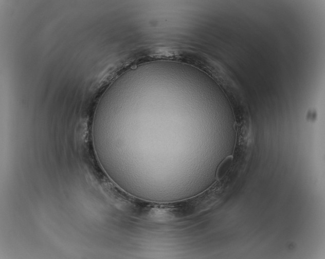 X0000113230560200909241525