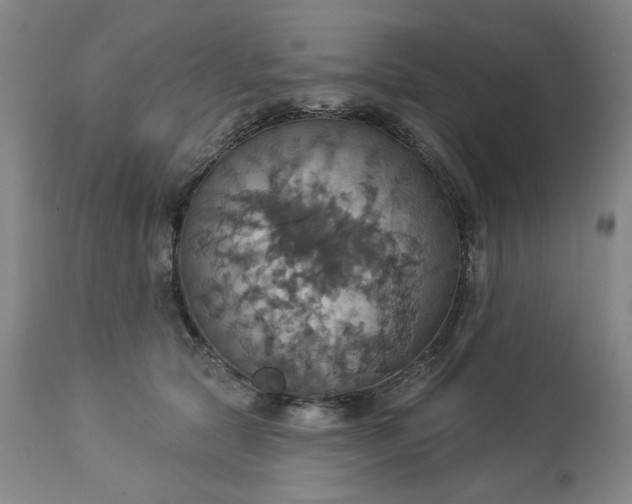 X0000113230561200909241525