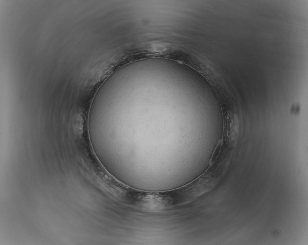 X0000113230562200909241525