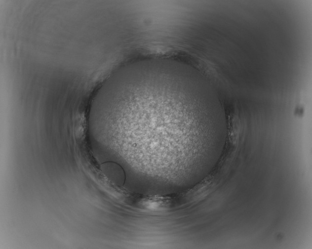 X0000113230563200909241525