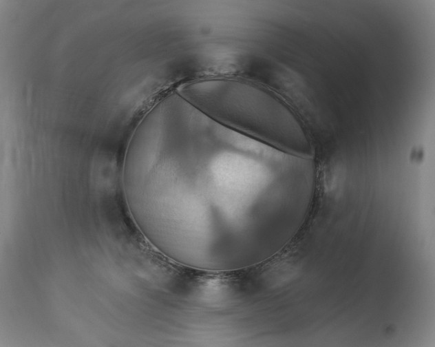 X0000113230564200909241525