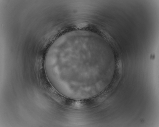 X0000113230565200909241525