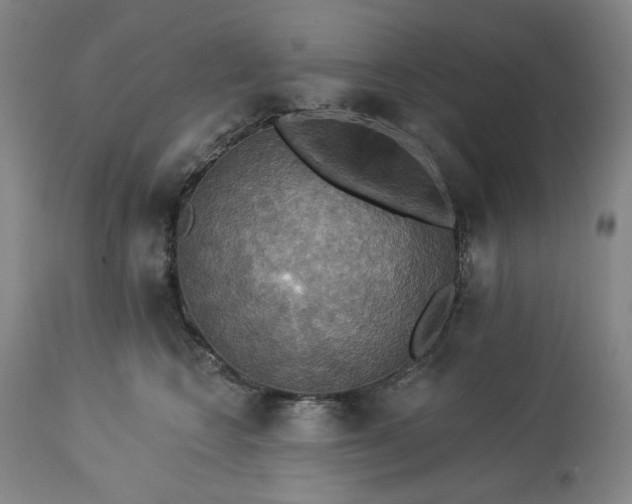 X0000113230566200909241525