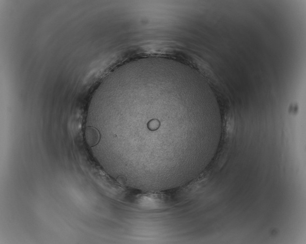 X0000113230567200909241525