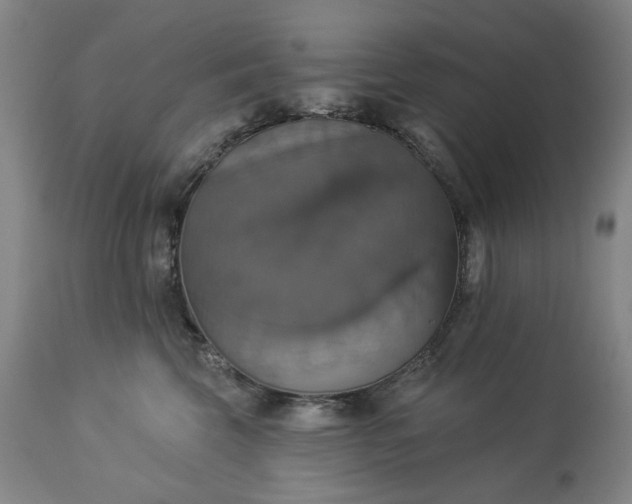 X0000113230569200909241525