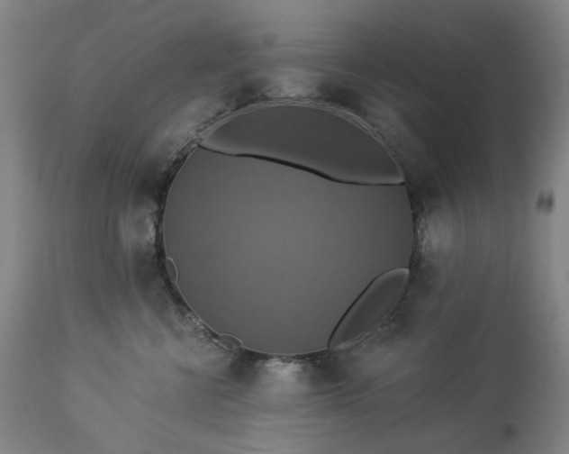 X0000113230570200909241525