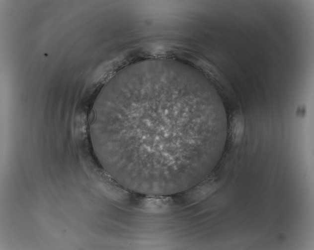 X0000113230571200909241525