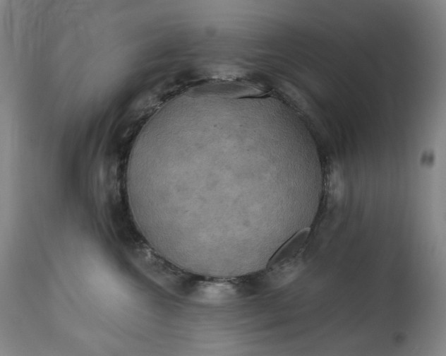 X0000113230572200909241525