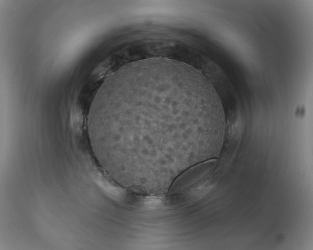 X0000113230574200909241525