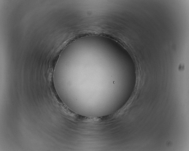 X0000113230576200909241525