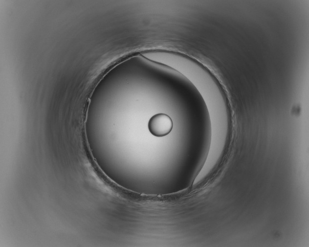 X0000113230577200909241525