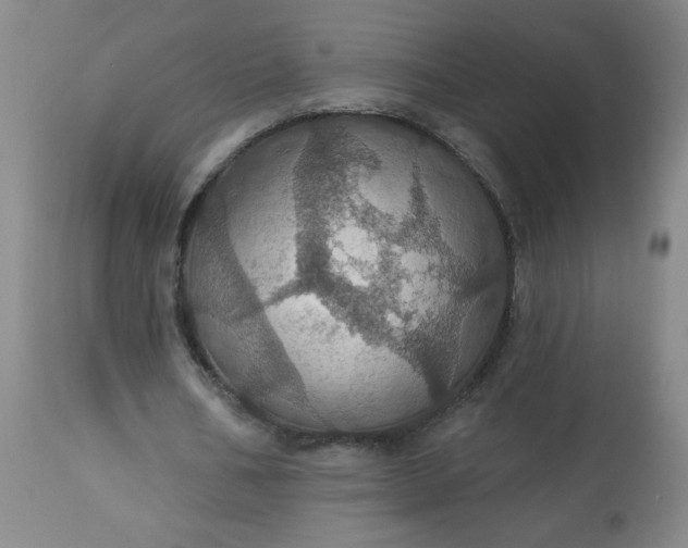 X0000113230578200909241525