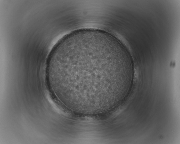 X0000113230580200909241525