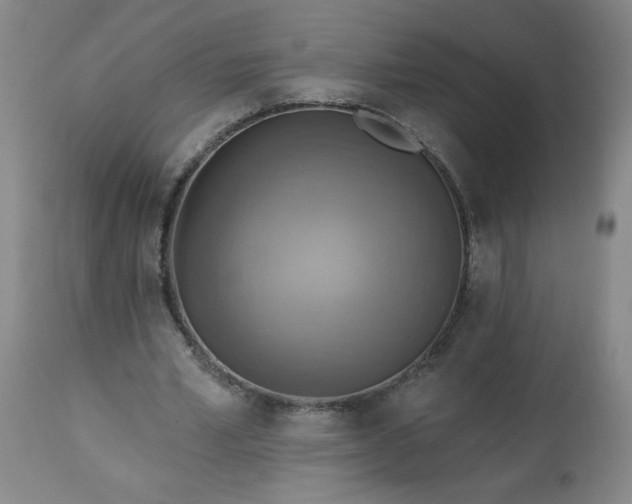 X0000113230581200909241525