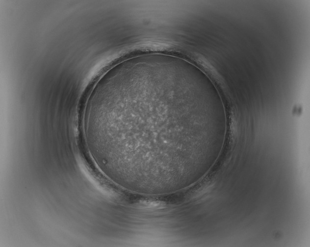 X0000113230582200909241525