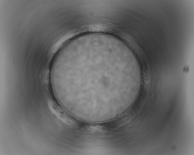 X0000113230583200909241525