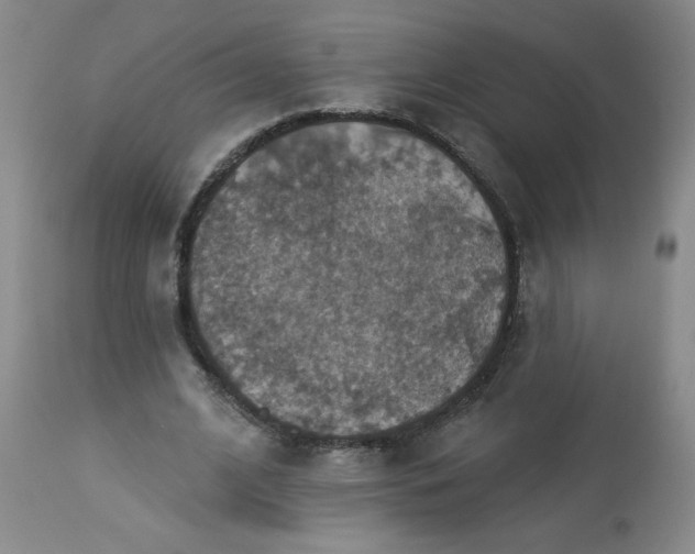 X0000113230584200909241525