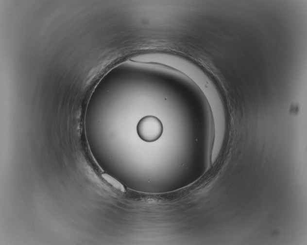 X0000113230585200909241525