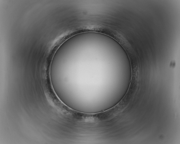 X0000113230587200909241525