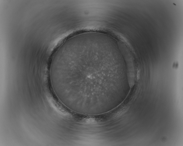 X0000113230588200909241525