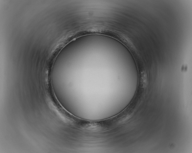 X0000113230589200909241525