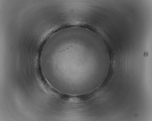 X0000113230591200909241524