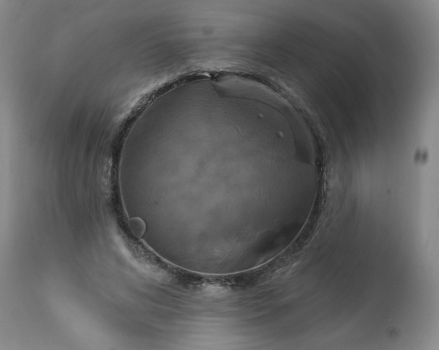 X0000113230592200909241524