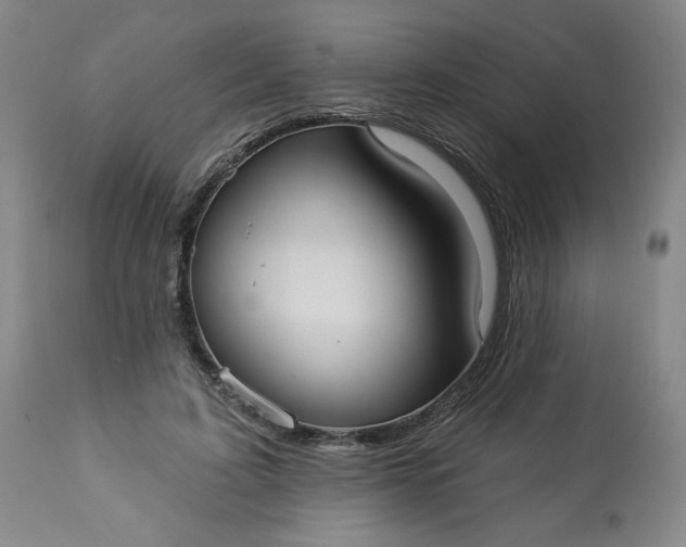 X0000113230595200909241524