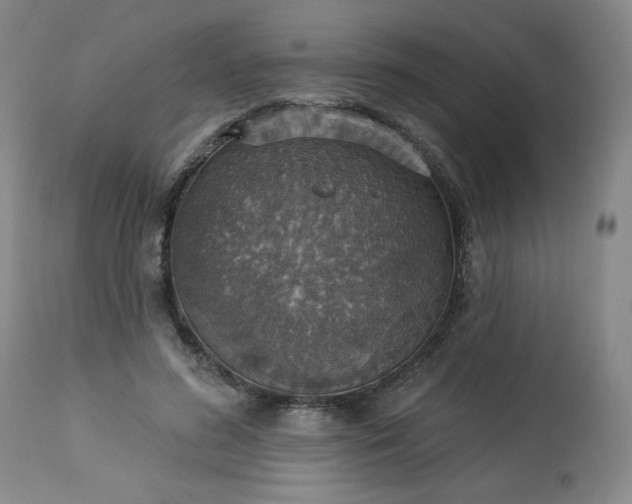 X0000113230596200909241524