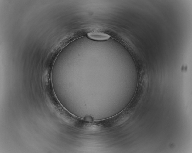 X0000113230597200909241524