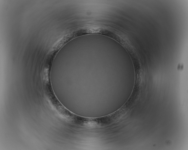 X0000113230598200909241524