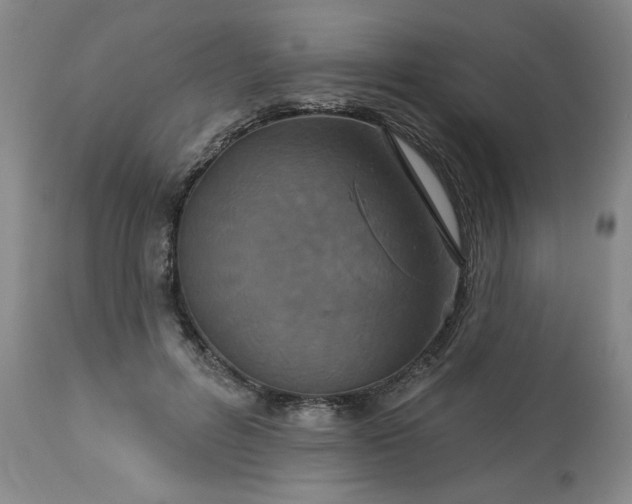 X0000113230600200909241524