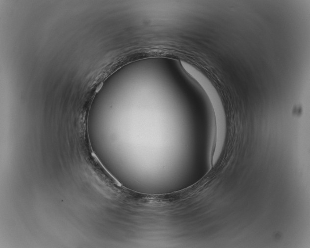 X0000113230601200909241524