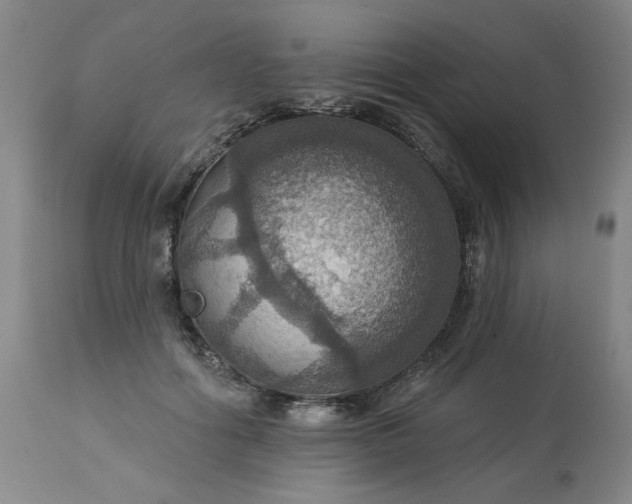 X0000113230602200909241524