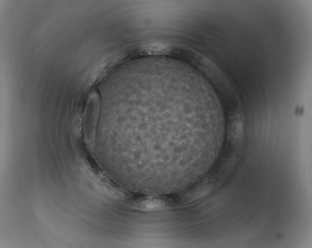 X0000113230604200909241524