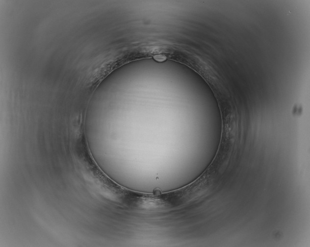 X0000113230605200909241524