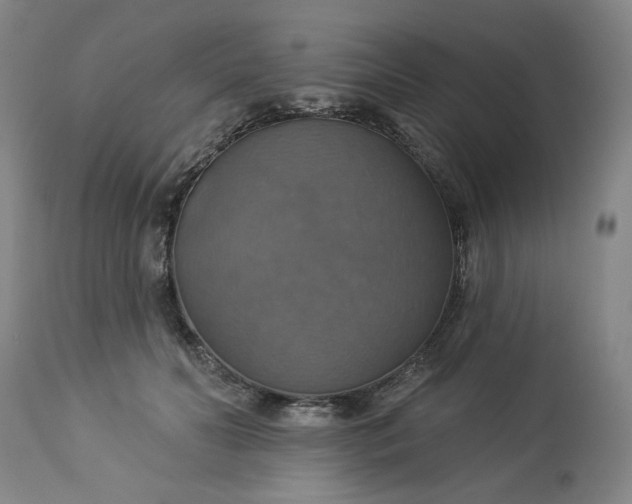 X0000113230606200909241524