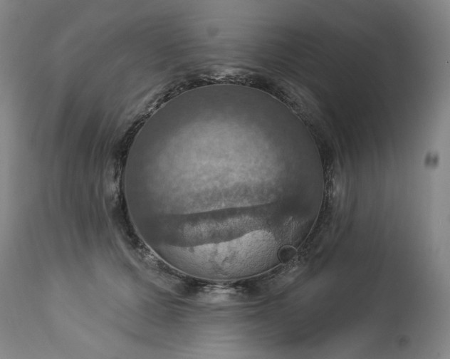 X0000113230607200909241524