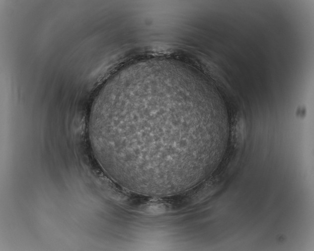 X0000113230608200909241524