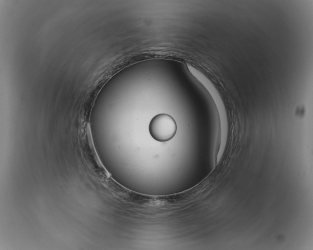 X0000113230609200909241524