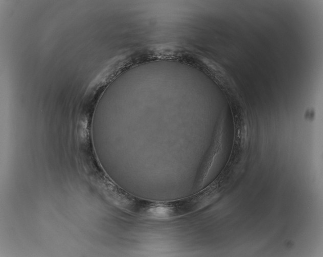 X0000113230610200909241524