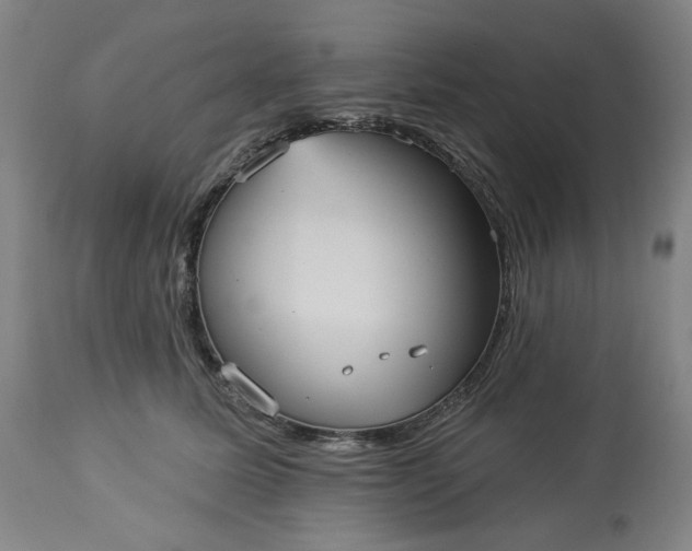 X0000113230611200909241524