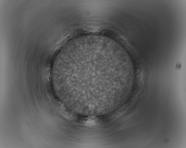 X0000113230612200909241524