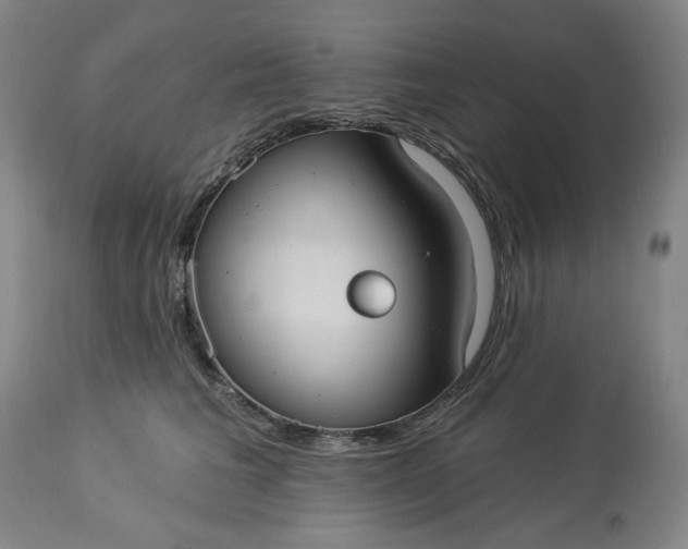 X0000113230613200909241524