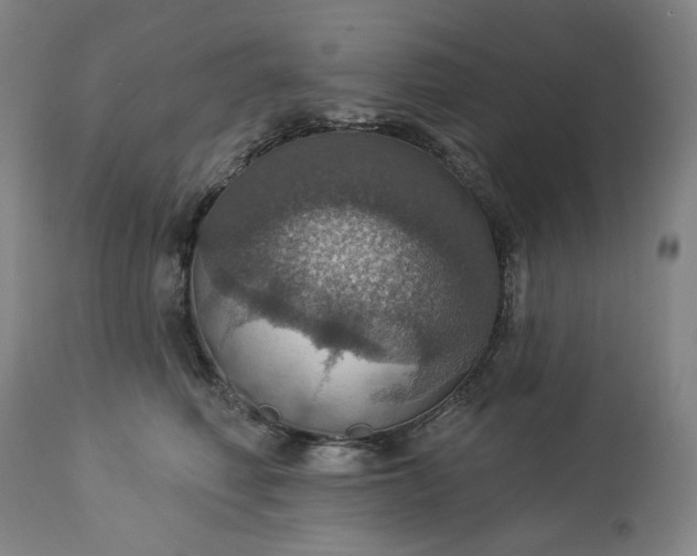 X0000113230614200909241524