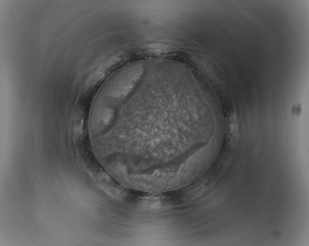 X0000113230615200909241524