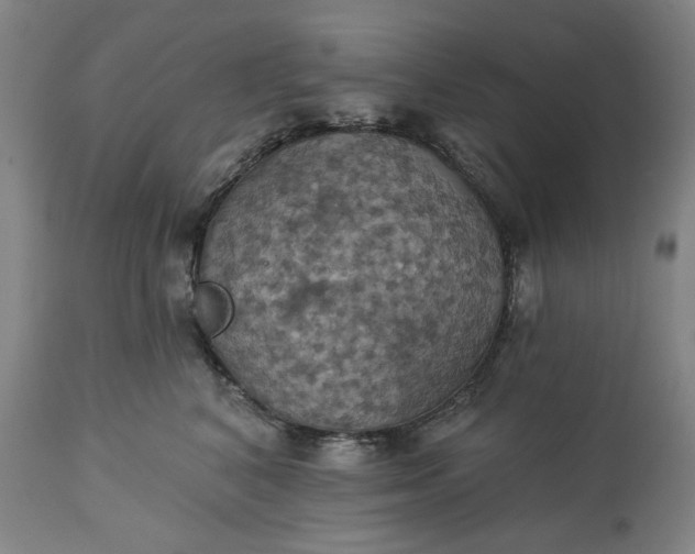 X0000113230616200909241524